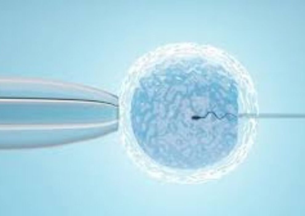 IVFICSI Treatment in India