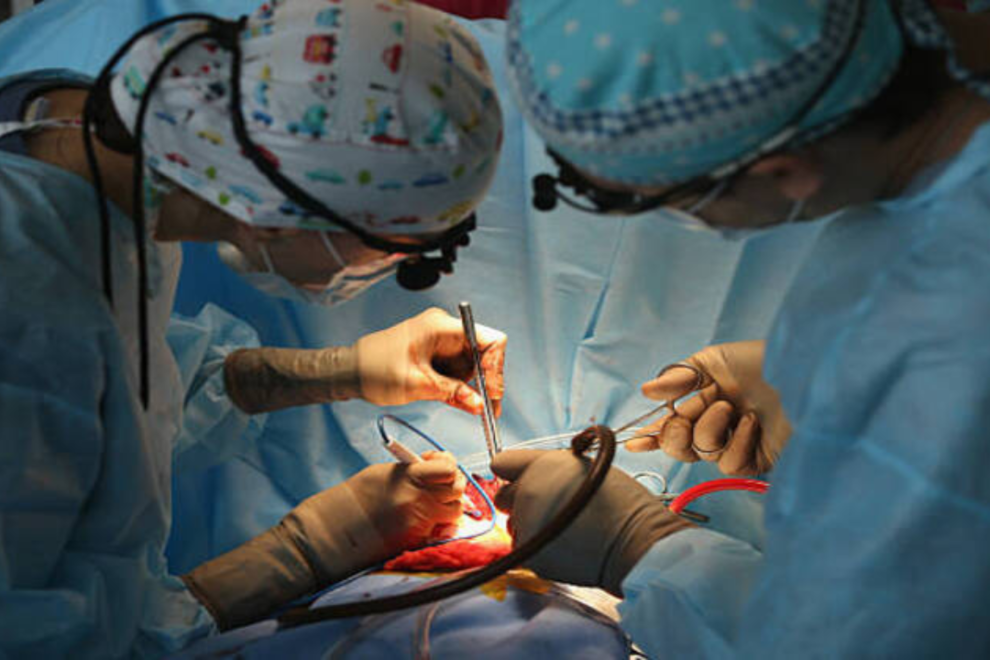 Arterial Bypass Surgery in India Arterial Bypass Surgery in India