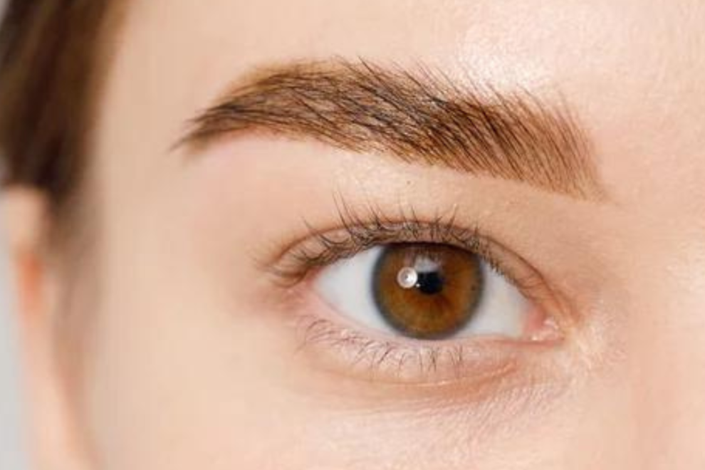 Blepharoplasty – Eye Lid Surgery Blepharoplasty – Eye Lid Surgery