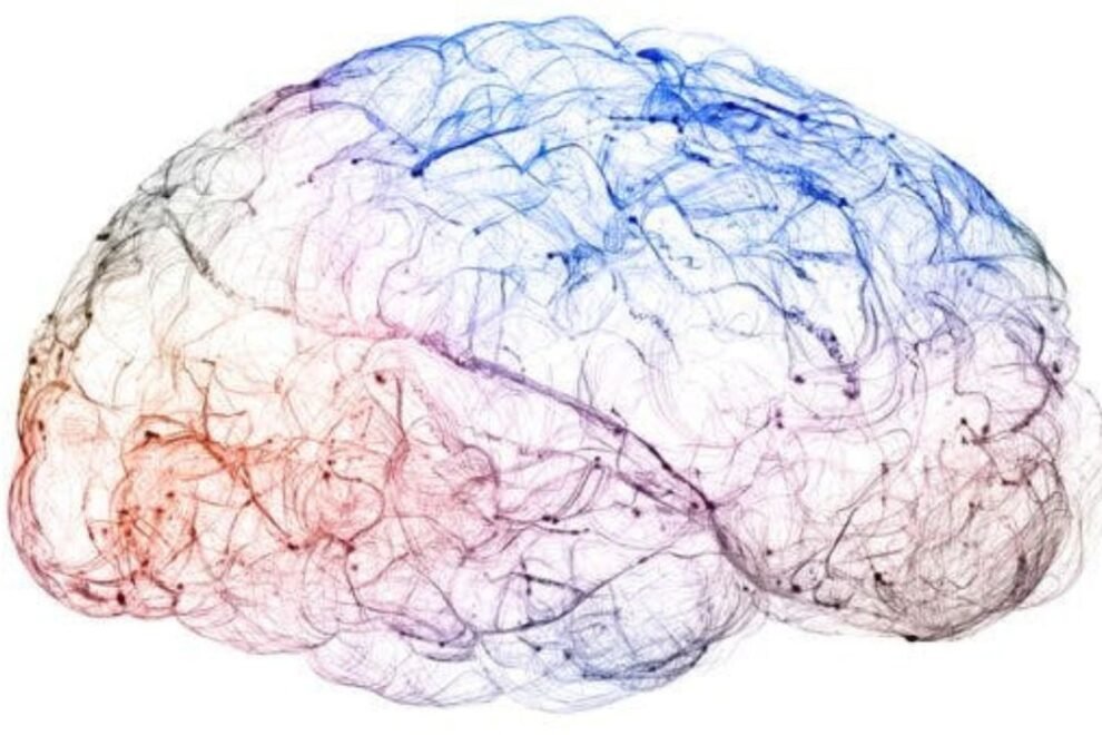 Sensory Ataxia: Symptoms, Causes, and Treatment Options Sensory Ataxia: Symptoms, Causes, and Treatment Options