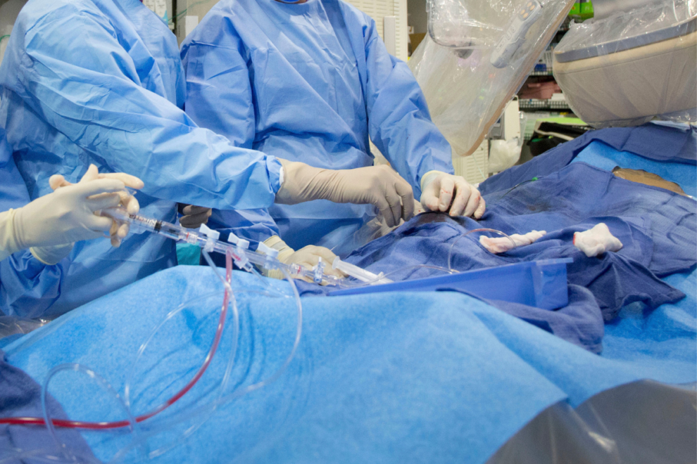 Stent Placement Surgery in India (1) Stent Placement Surgery in India