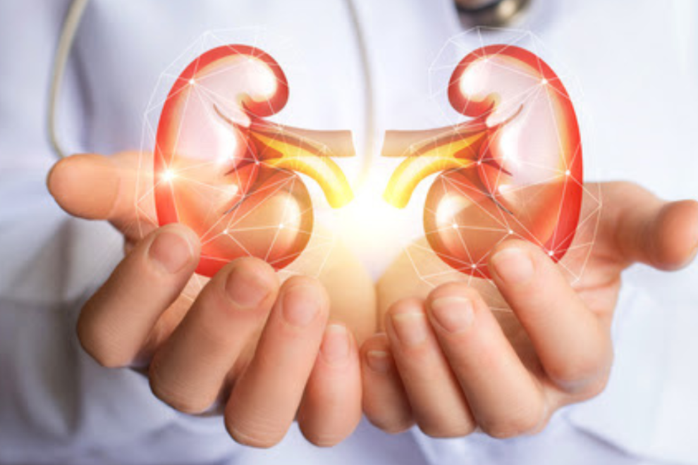 Chronic Kidney Disease Chronic Kidney Disease