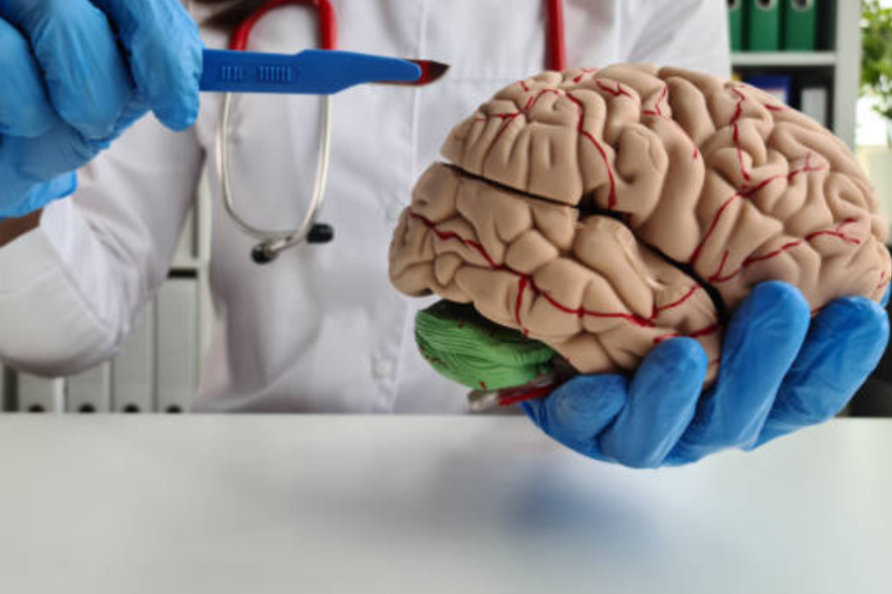 Csf Shunt Procedures in India Csf Shunt Procedures in India