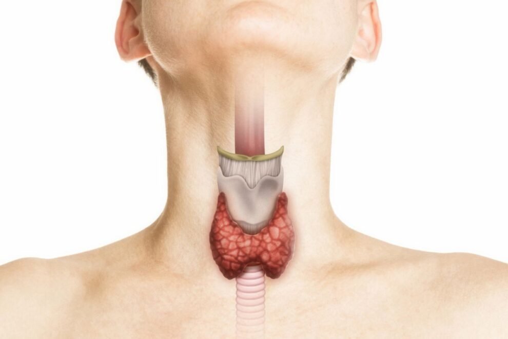 Laryngectomy in India | Advanced Treatment for Throat Cancer Laryngectomy in India | Advanced Treatment for Throat Cancer