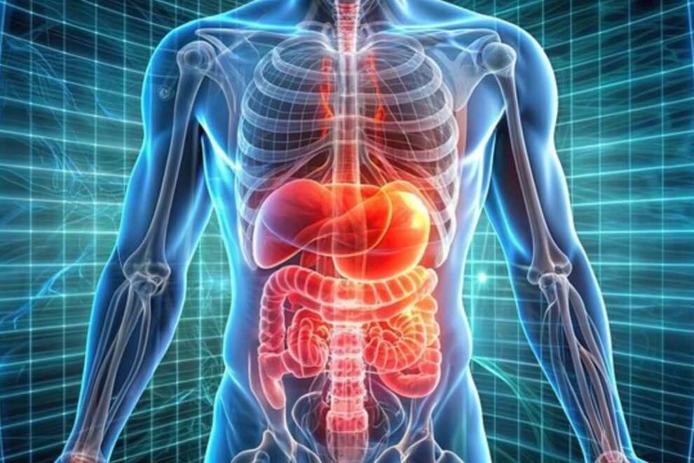 Open Hernia Surgical Repair Surgery in India: Affordable & Effective Treatment Open Hernia Surgical Repair Surgery in India: Affordable & Effective Treatment