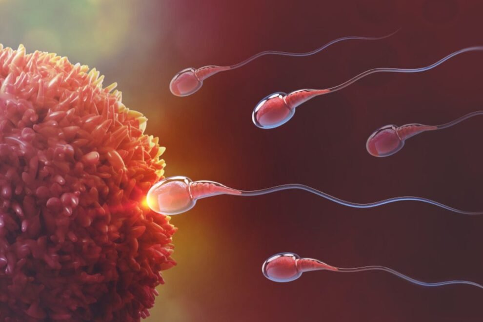 Peritoneal Oocyte and Sperm Transfer in India: A Comprehensive Guide Peritoneal Oocyte and Sperm Transfer in India: A Comprehensive Guide