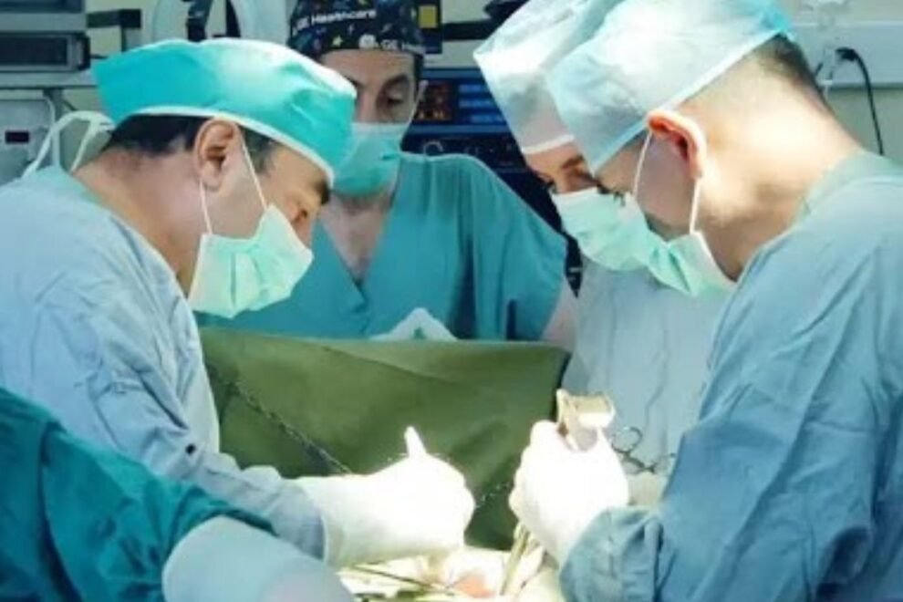 Appendix Surgery in India Appendix Surgery in India