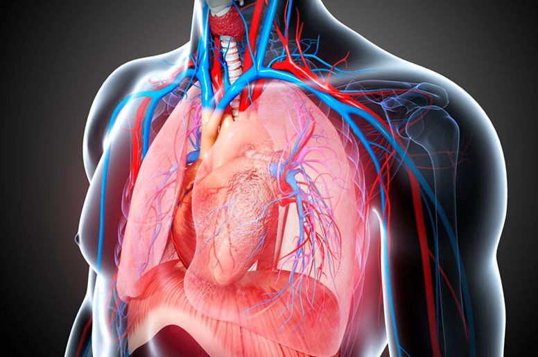 Minimally Invasive CABG Midcab Surgery in India Minimally Invasive CABG Midcab Surgery in India